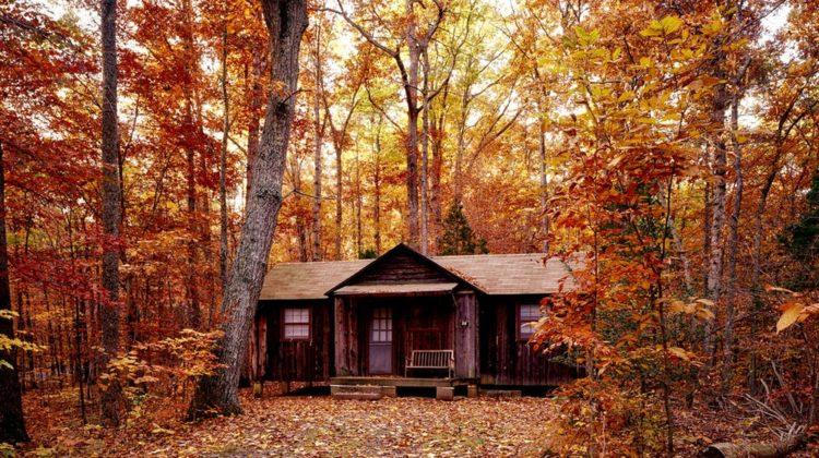 Casa en el bosque
