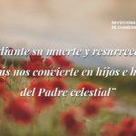 Hijo del Padre-devocional de cptln chile-24032021