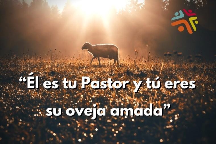 Él es tu Pastor y tú eres su oveja amada - cita del devocional cristiano de Cristo Para Todas Las Naciones CPTLN Chile "Mío" - 07/05/2021