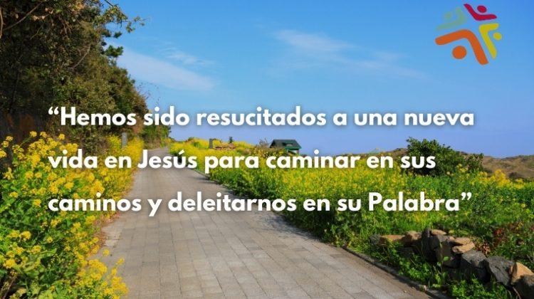 Hemos sido resucitados a una nueva vida en Jesús para caminar en sus caminos y deleitarnos en su Palabra - cita del devocional cristiano de Cristo Para Todas Las Naciones CPTLN Chile "Mantén el ritmo" - 22/06/2021
