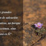 indigno-cptln chile-16072021
