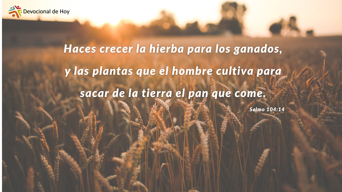 21012025-devocional web-