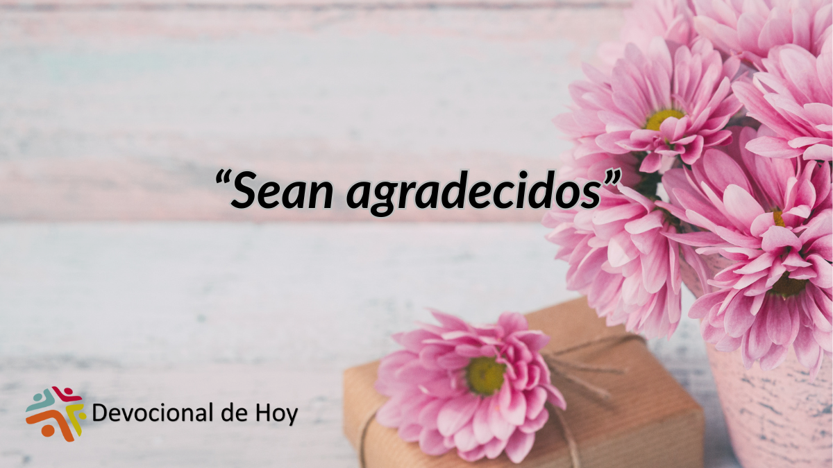 "Cristo, la paz que produce gratitud"